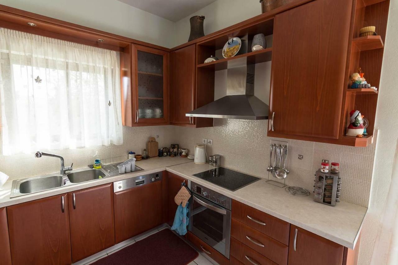 Big Family House In Mesochoria Village Exterior foto